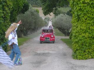 Escapade sur les chemins de Provence